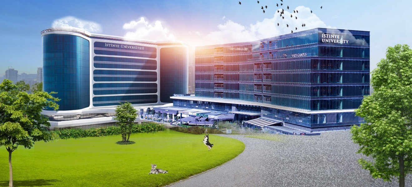 İstinye University